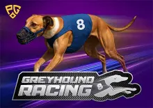 8 Greyhound Racing - Spin City - Congo